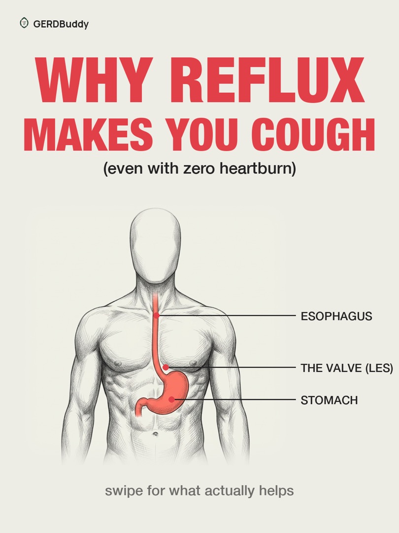 Why reflux makes you cough